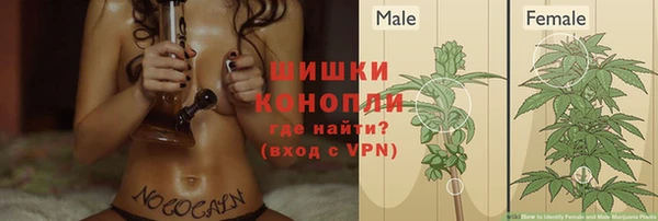 амф Магас