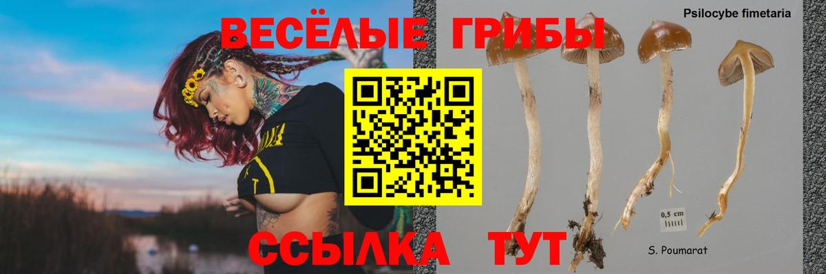 Галлюциногенные грибы мицелий  Галлюциногенные грибы мицелий  Усть-Кут 